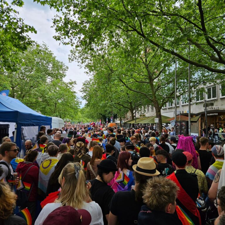Viele Menschen sind auf der Straße, um an der CSD-Demo teilzunehmen. Viele Menschen tragen bunte Kleidung und haben Fahnen mit der Pride-Flag dabei. Die Straße wird links und rechts mit Bäumen flankiert, die ein junges grünes Blattwerk tragen.