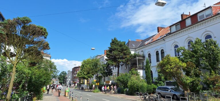 Bild der